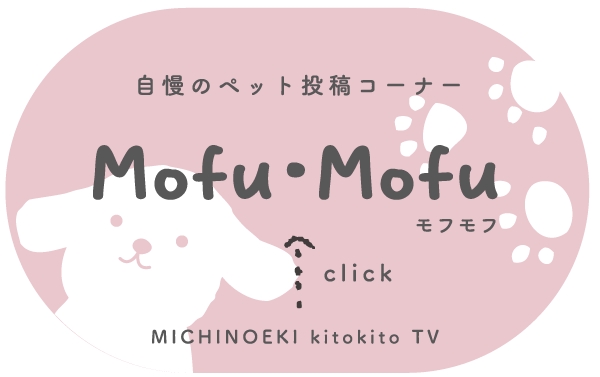 自慢のペット投稿はこちら